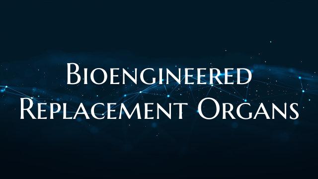 Bioengineered Replacement Organs