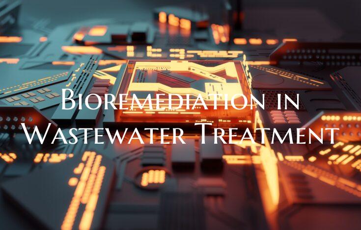 Bioremediation in Wastewater Treatment