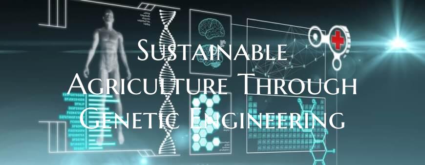 Sustainable Agriculture Through Genetic Engineerin...